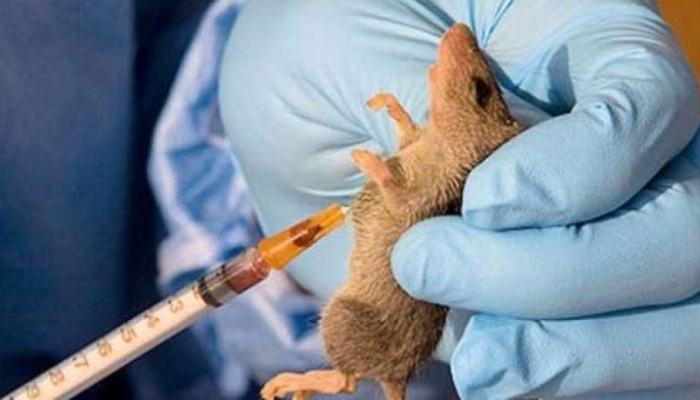 Visual representation related to Lassa Fever outbreak in Benue