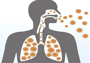 An image related to the article on tuberculosis