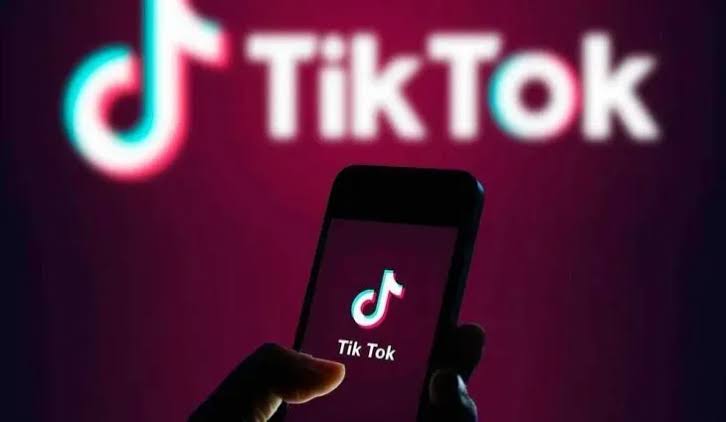TikTok logo and interface
