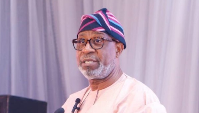 Dele Alake during the Powering Africa Summit