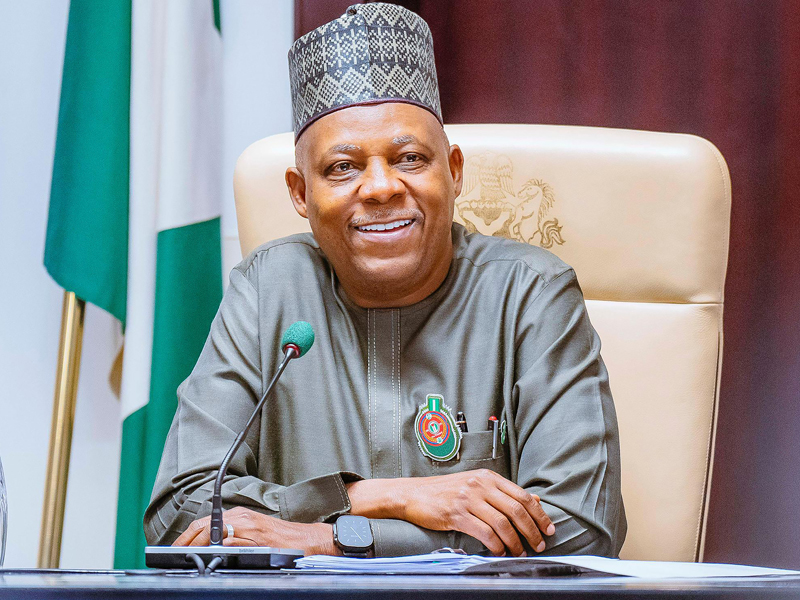 Vice President Kashim Shettima speaking at an event.