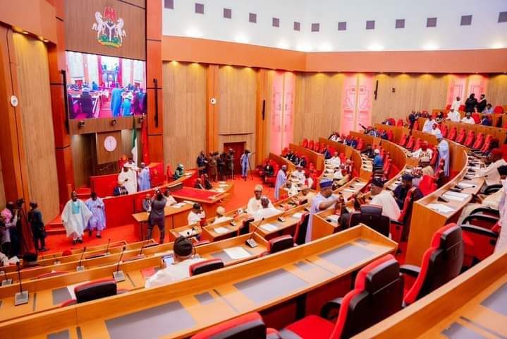 Image of the Nigerian Senate session in progress