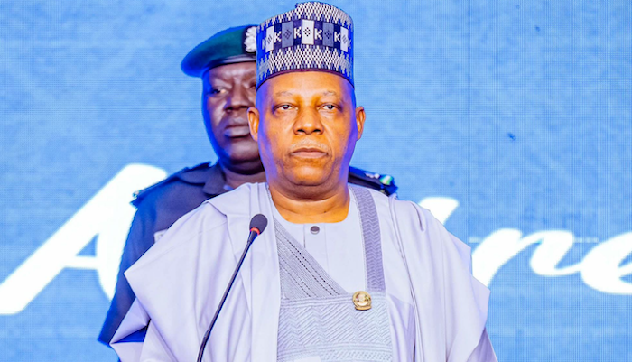 Vice President Kashim Shettima