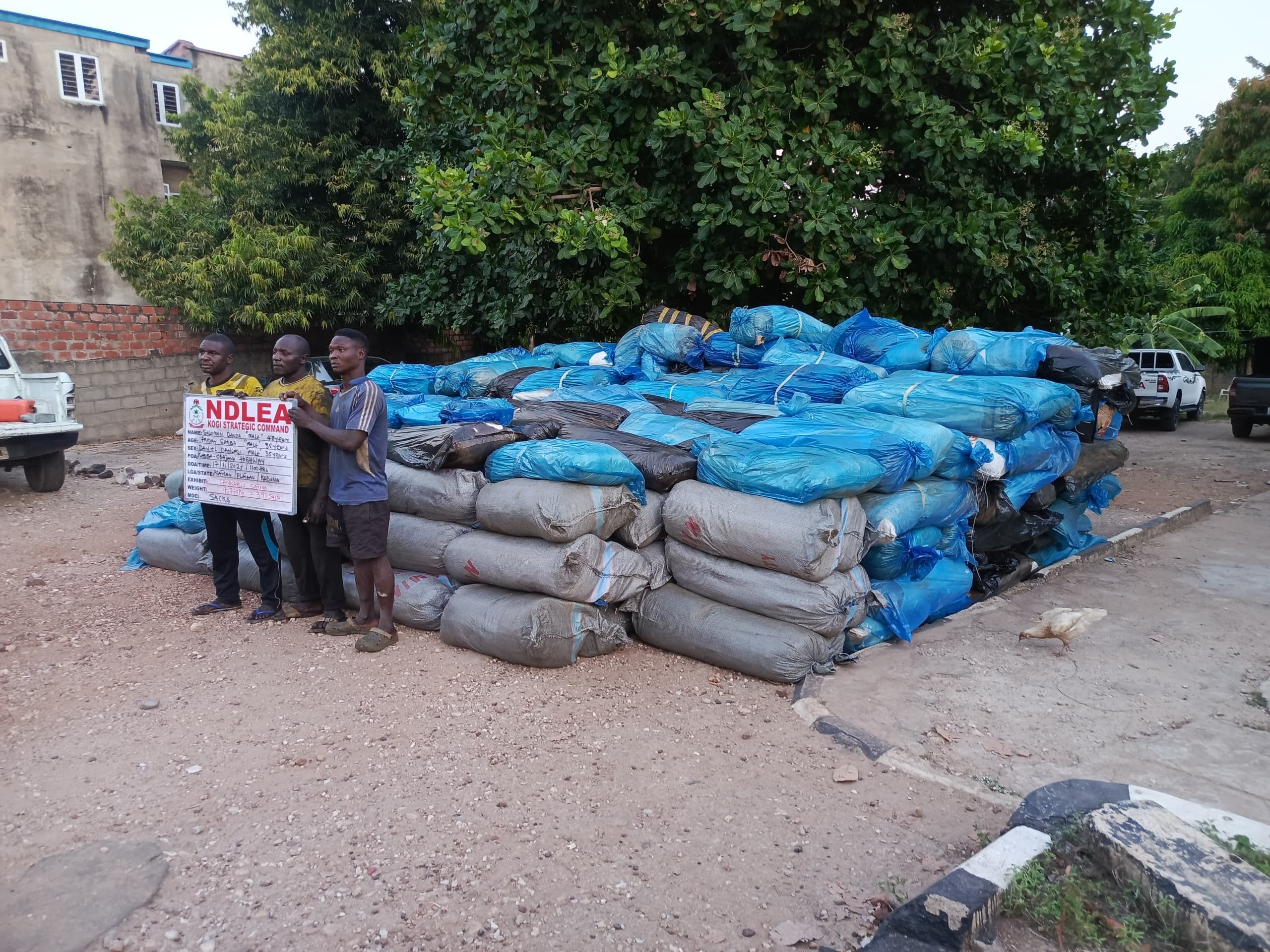 A collection of various illicit drugs seized by the NDLEA.