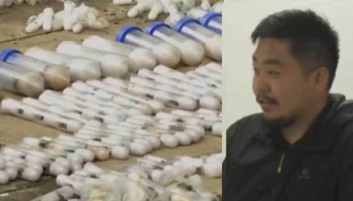 Image of the article's headline and a related graphic.