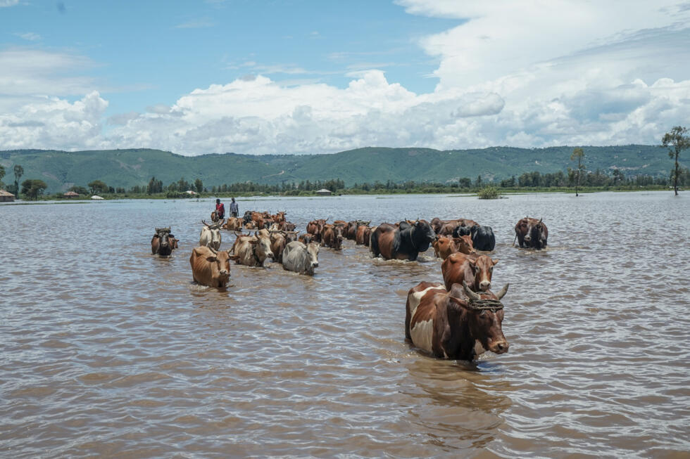 Destruction caused by flooding in Kenya