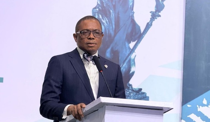 Mr. Afam Osigwe (SAN), President of the Nigerian Bar Association