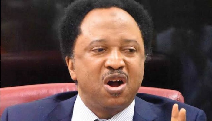 Shehu Sani, former Senator for Kaduna Central
