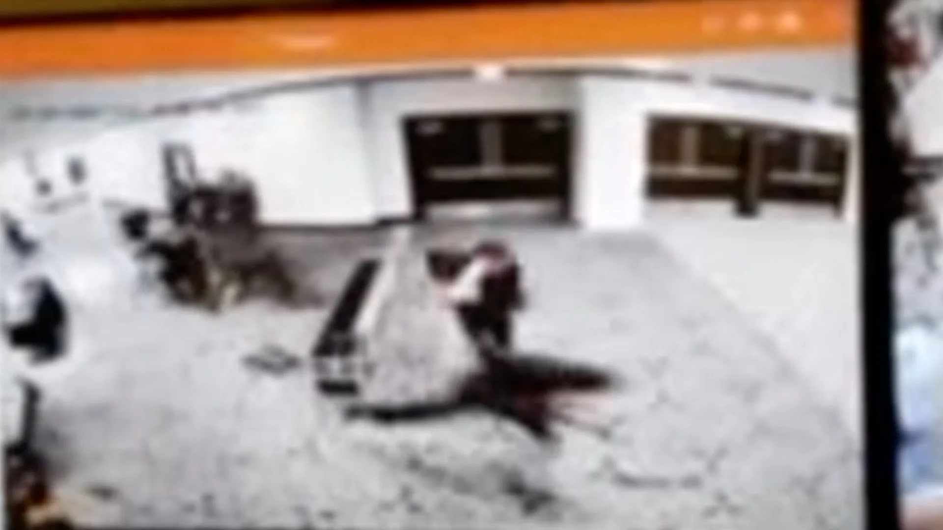 Surveillance footage showing a person running past security at a White House event.