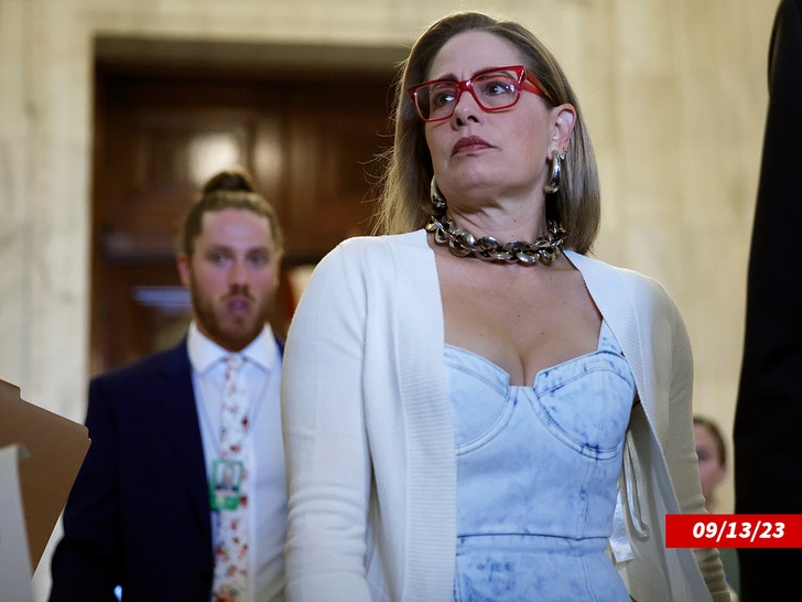 Former U.S. Senator Kyrsten Sinema acknowledges her affair with ex-bodyguard in court documents.