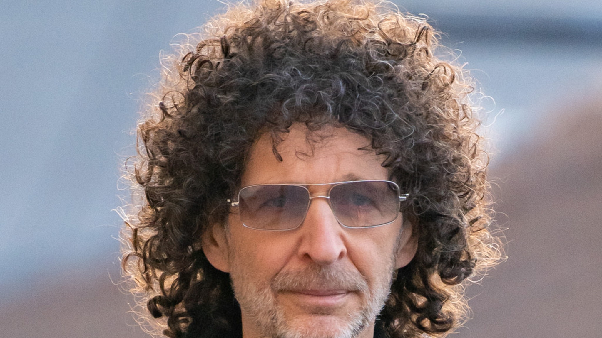 Howard Stern and his wife Beth Stern.