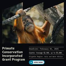 Primate Conservation Grant Program 2026