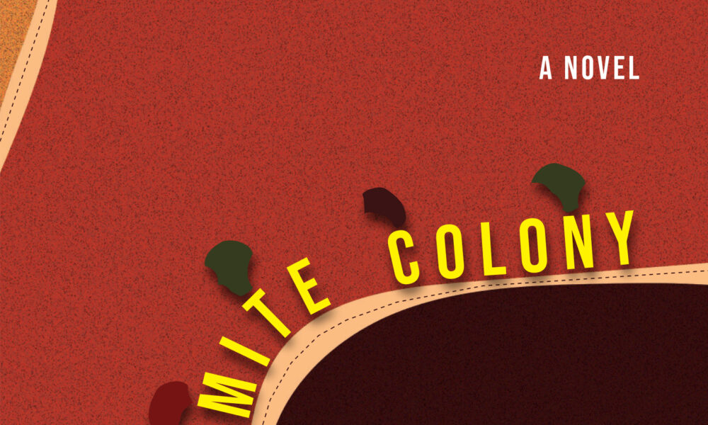 Cover of The Termite Colony by Ike Okonta