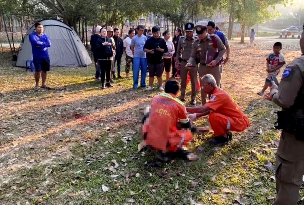 An image depicting the tragic elephant attack incident at Khao Yai National Park