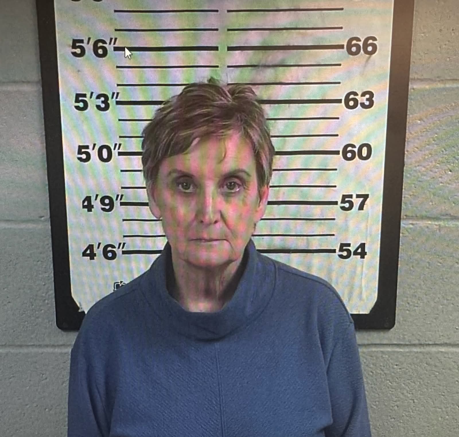 Sara Baker, the former lawyer indicted for attempting to murder her husband with fentanyl