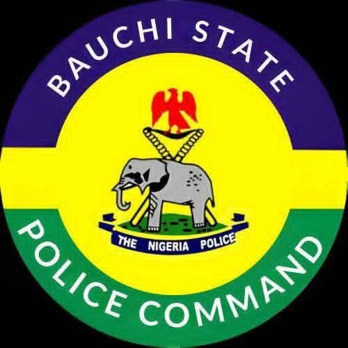 A police officer in Bauchi State, possibly connected to the recent arrest of a security guard for assaulting minors