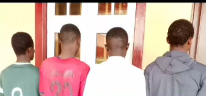 Four suspects arrested by Kano NSCDC for phone theft