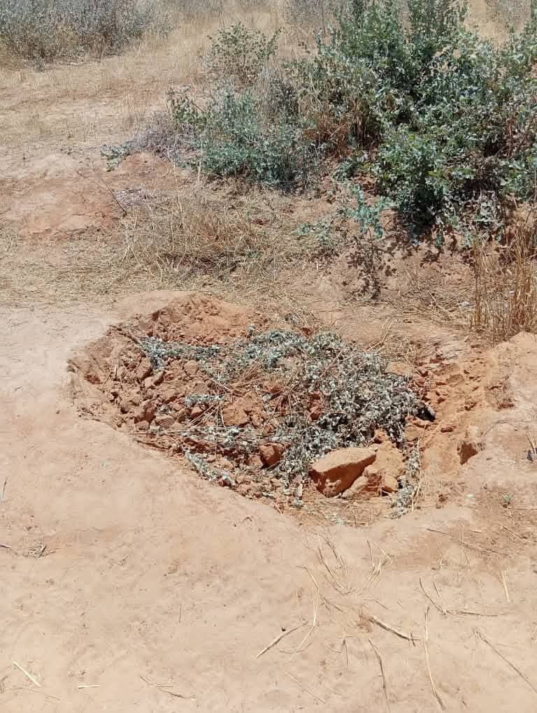 Police investigation scene in Yobe where a decomposing body was found in a shallow grave.