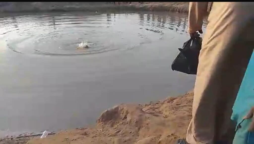 Scene from the Kwara quarry lake where two men drowned