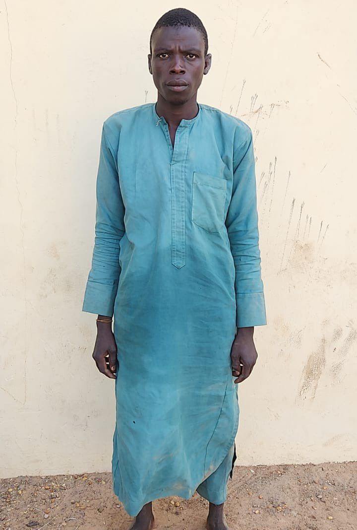 Troops apprehend a suspect believed to supply Boko Haram in Borno