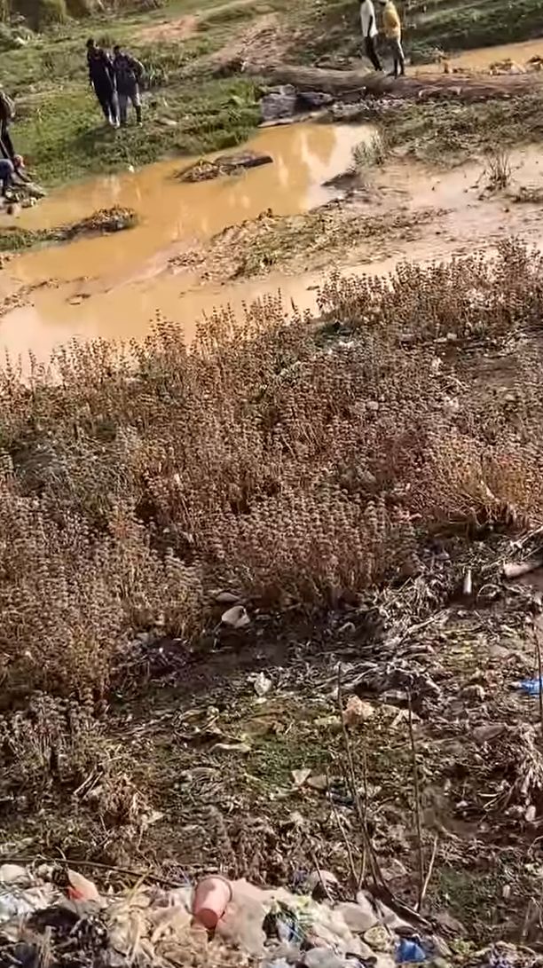 The area where the woman's body was discovered in the river.