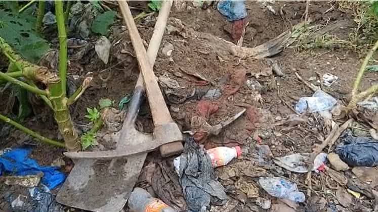 Related image illustrating the news story.