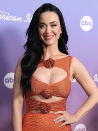 Katy Perry urges Americans to take action against ICE