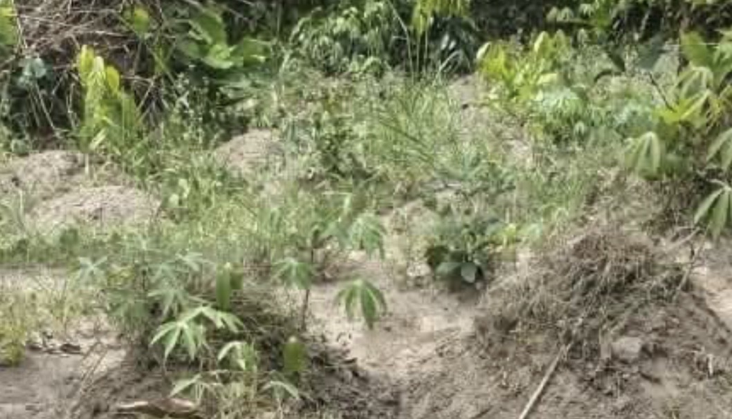 Police arrest of a man for the alleged murder of his wife