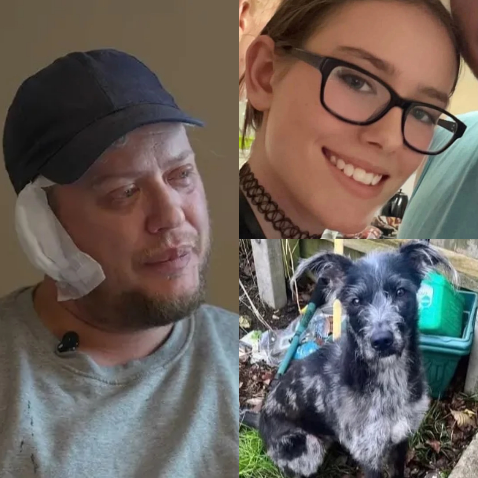 A photograph of the dog involved in the fatal attack.