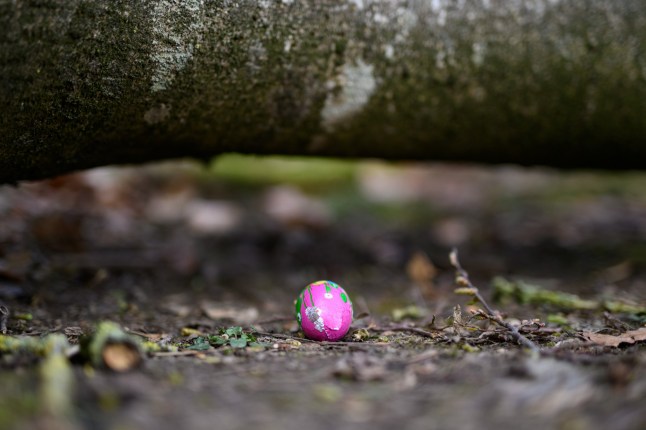 A depiction of the Easter Egg Hunt area where the tree fell.