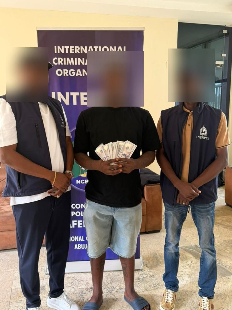 Suspect arrested in fraud case