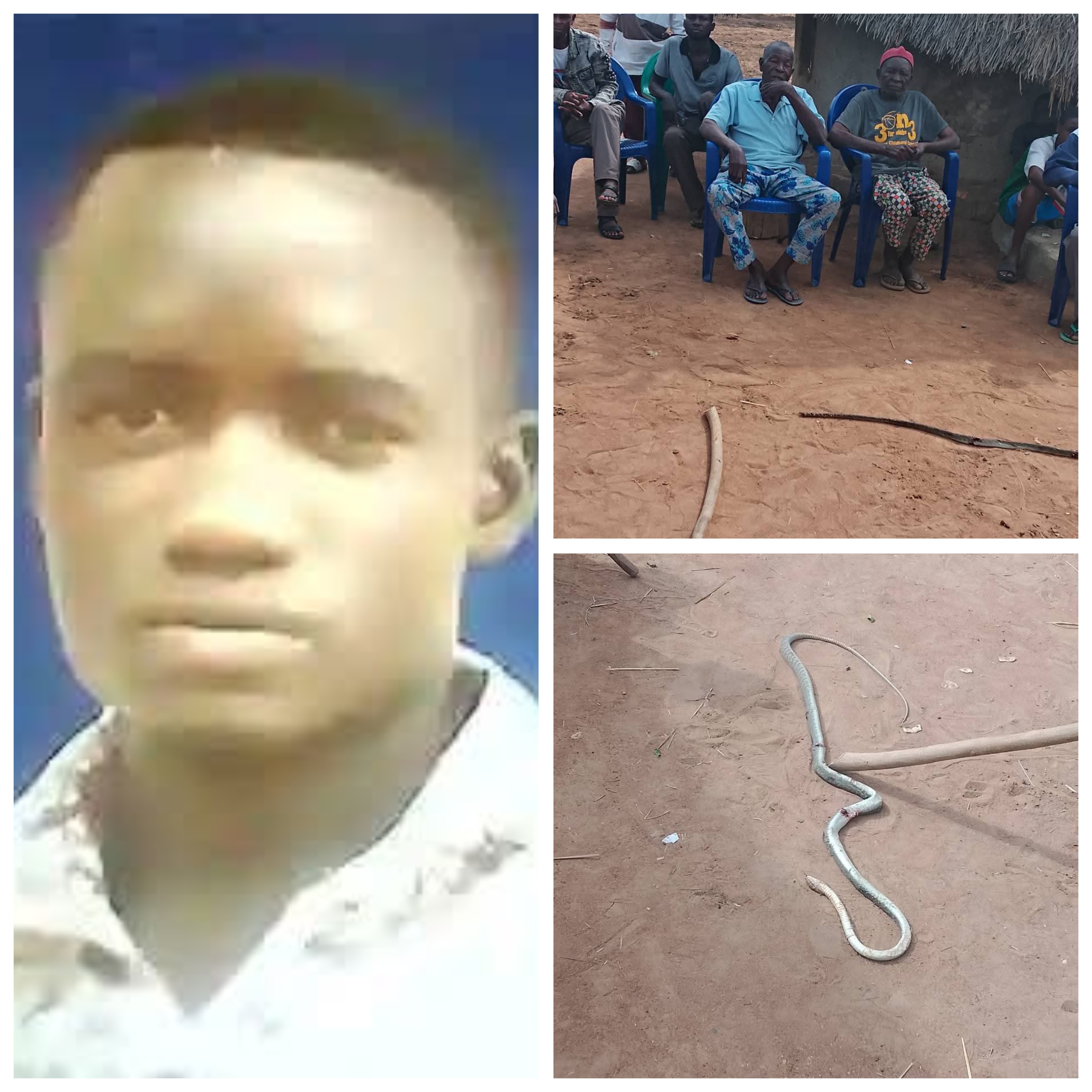 Young man Aondona Ahemba who died after a snake bite in Benue