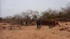 A file image representing the Yankari Game Reserve or a security operation.